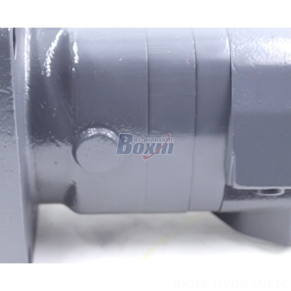 BM6 Cycloid Hydraulic Motor - OEM/ODM Services Available - 245 cc/r 150 Lpm detail image